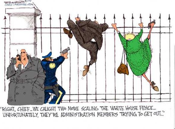 edi lgp cartoon