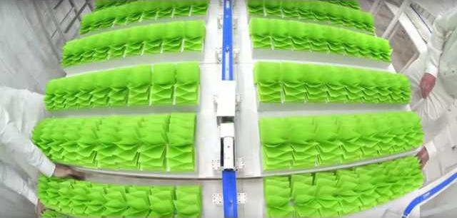 ffdfdf577b4d2d5e65ce66ea60652ea0c80b0a0daf73dad7d25e3649a4c9f27e