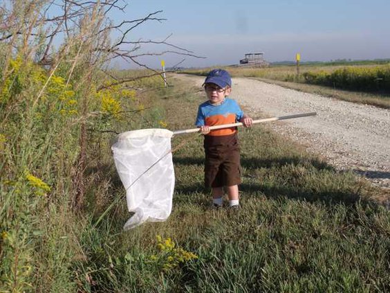 new kl butterfly boy9