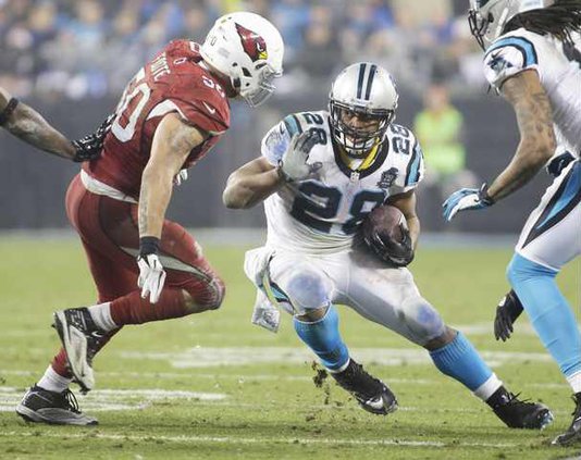 spt ap Carolina Stewart