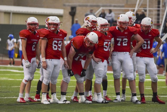 cardinal defense.JPG