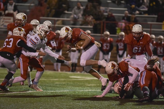 Hoisington Cardinal image.jpg