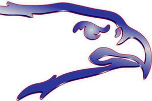 spt kp Ellinwood logo