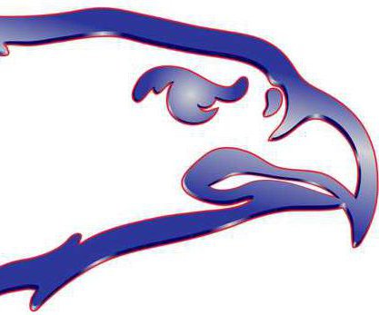 spt kp Ellinwood logo