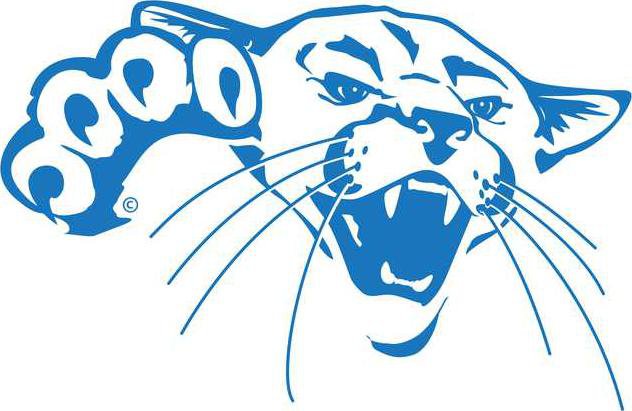barton cougar headblue .png