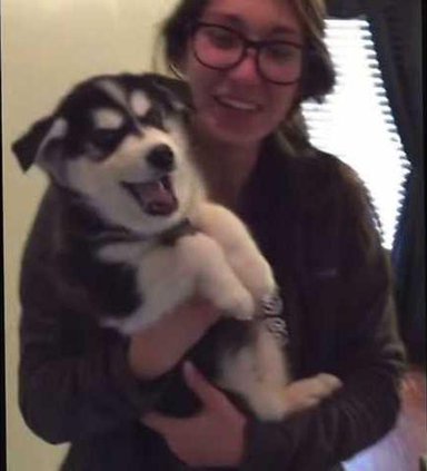 5d980413ffcc6b58031fc765941017f12a5b1a09b3986cd719713639cc2e2867