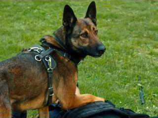 d3ba1f11ddfd41d20c7d3517639c05afa9103fe42aa746fa7aaf74da2c286806