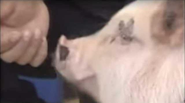 e1f052aed958815a0d2da9349bb27b6ac982da648eba6f9d35702d4d66c32e52