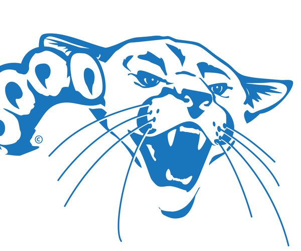 barton_cougar_headblue1.jpg