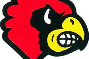 new vlc USD 431 cardinal logo