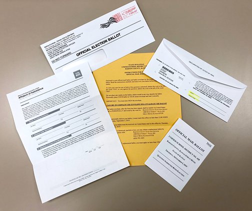 bond election privacy pic