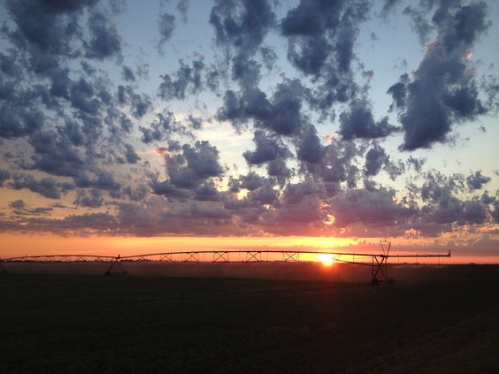 ag census pic