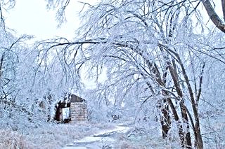 loc_lgp_fickcolumnpic