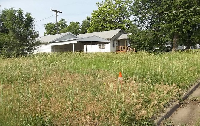 lawn maintenance pic