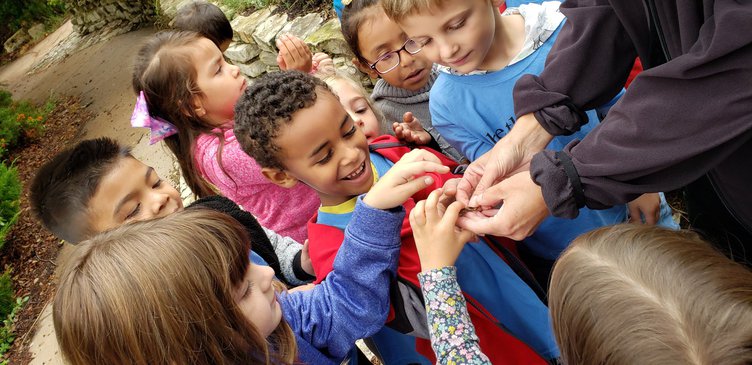kindergarten roundup 2019-2020 file