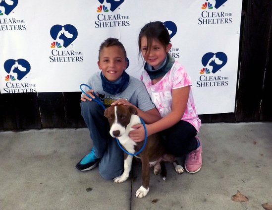 great bend animal shelter