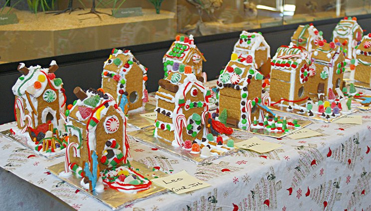 new_lgp_kwecgingerbread