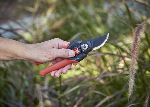 loc_lgp_myerscolumnpic