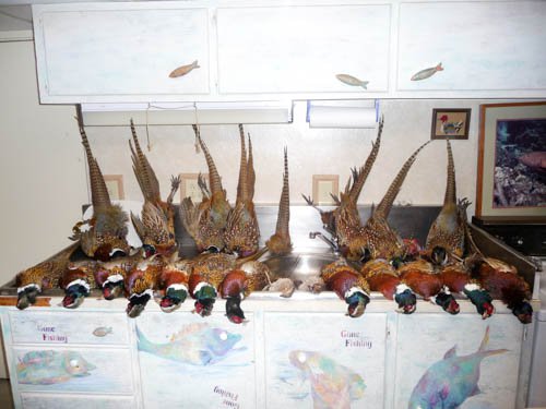 loc_lgp_marshmusingspic