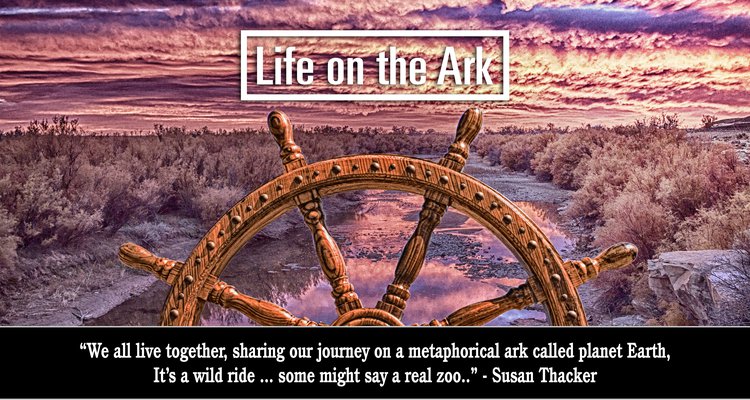 Life on the Ark.jpg