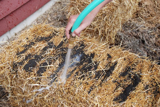 loc_lgp_myerscolumnpic