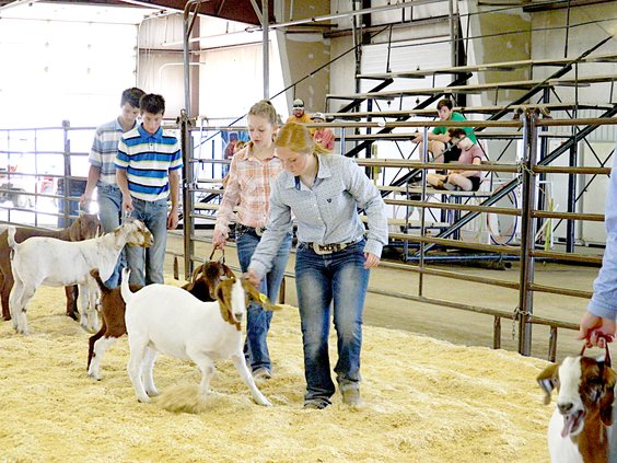 bt co fair goes live