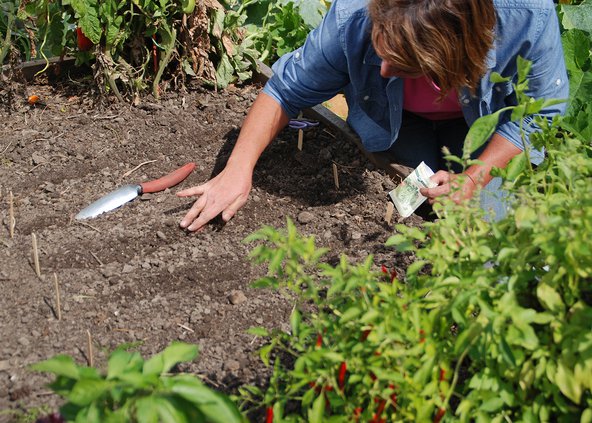 loc_lgp_myerscolumnpic