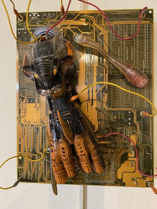 ent_lgp_gardenofisispic