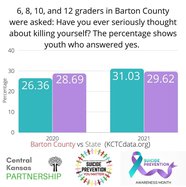 local-suicide-graphic