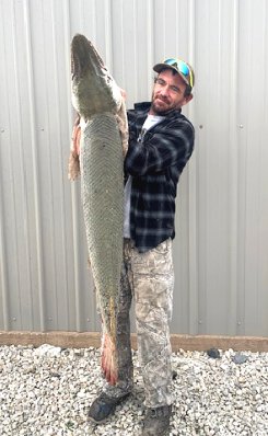 loc_lgp_alligatorgarpic