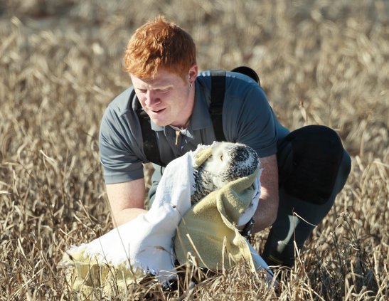 loc_lgp_marshmusingspic