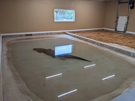 alligatorhouse2021
