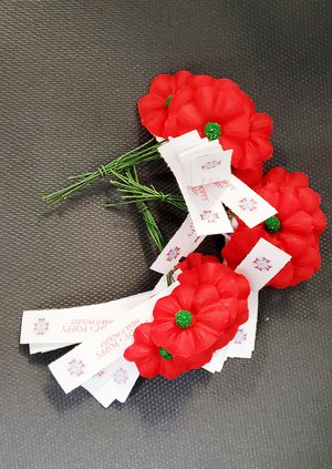 poppies-slt