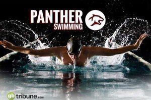panther swimming