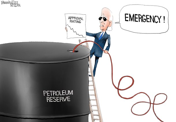 edi_lgp_cartoon