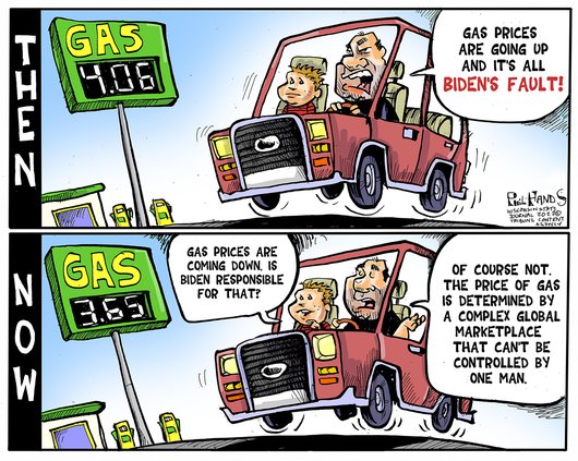 edi_lgp_cartoon
