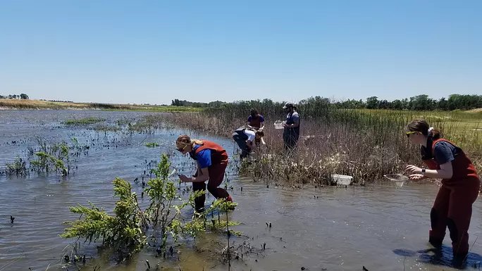 edu_lgp_kwecwatercamppic