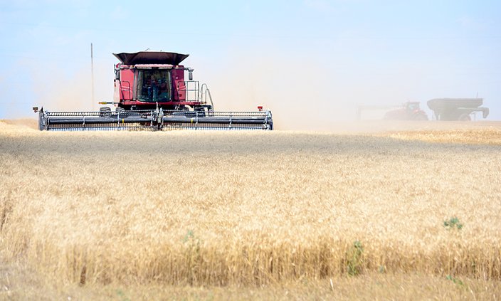 Wheat Harvest 2022 Barton County