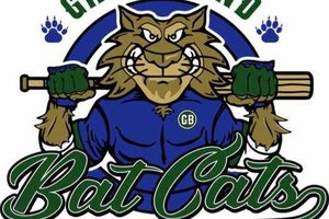 bat cats logo