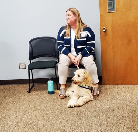 WillaGoldendoodle2022