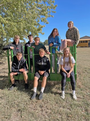 new_lgp_kiowaliestockshowpic