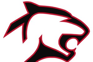GBHS Panther logo clr