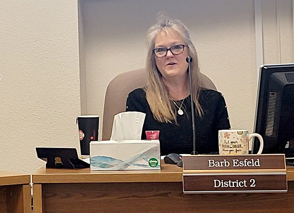 barb esfeld tax plan