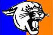 spt Otis-Bison logo