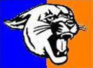 spt Otis-Bison logo
