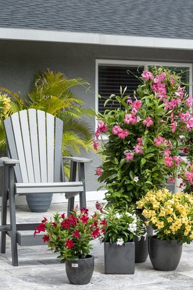 loc_lgp_myerscolumnpic