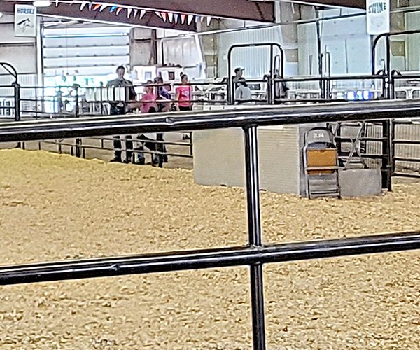 fair association expo III