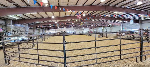 It’s fair season: Keep animals cool at county shows