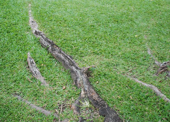 loc_lgp_myerscolumnpic