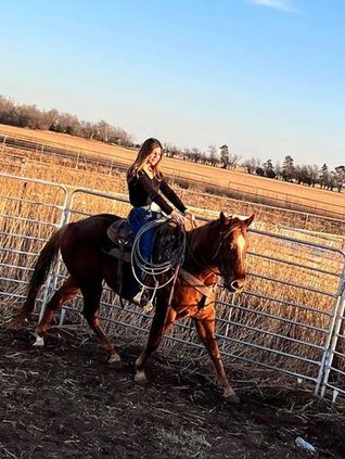 ent_lgp_checkitoutpic